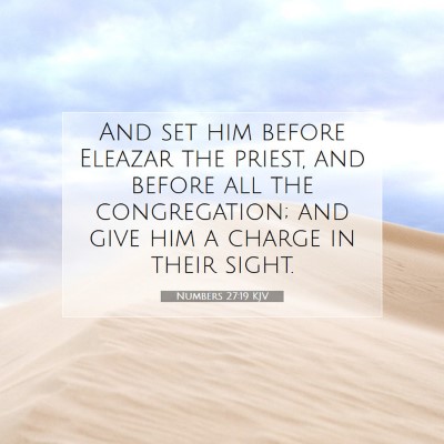 Picture 07 - Numbers 27:19 KJV - And set him before Eleazar the priest, and before - Bible Verse Picture