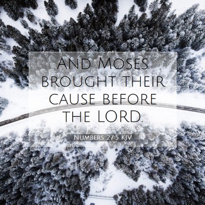 Picture 07 - Numbers 27:5 KJV - And Moses brought their cause before the - Bible Verse Picture
