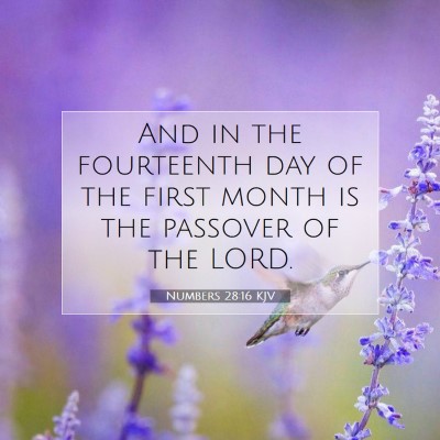 Picture 07 - Numbers 28:16 KJV - And in the fourteenth day of the first month is - Bible Verse Picture