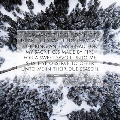 Picture 07 - Numbers 28:2 KJV - Command the children of Israel, and say unto - Bible Verse Picture