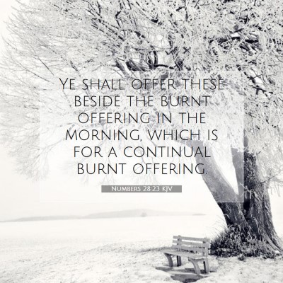 Picture 07 - Numbers 28:23 KJV - Ye shall offer these beside the burnt offering in - Bible Verse Picture