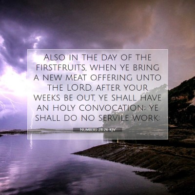 Picture 07 - Numbers 28:26 KJV - Also in the day of the firstfruits, when ye bring - Bible Verse Picture