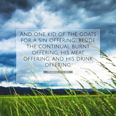 Picture 07 - Numbers 29:16 KJV - And one kid of the goats for a sin offering; - Bible Verse Picture