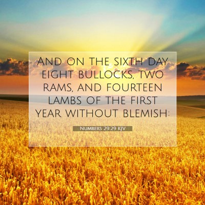 Picture 07 - Numbers 29:29 KJV - And on the sixth day eight bullocks, two rams, - Bible Verse Picture