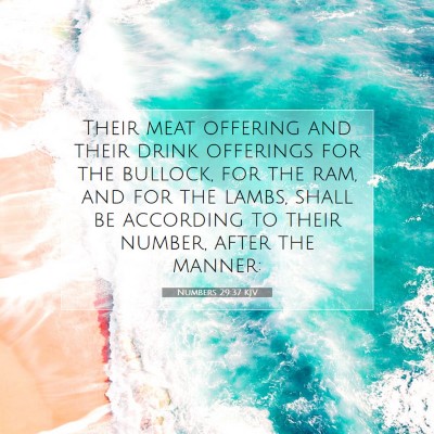 Picture 07 - Numbers 29:37 KJV - Their meat offering and their drink offerings for - Bible Verse Picture