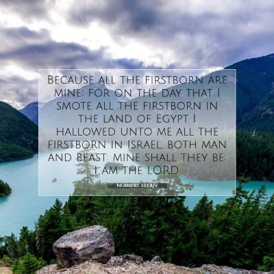Picture 07 - Numbers 3:13 KJV - Because all the firstborn are mine; for on the - Bible Verse Picture