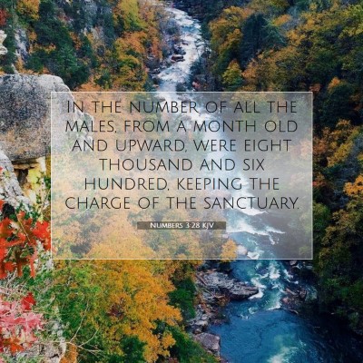 Picture 07 - Numbers 3:28 KJV - In the number of all the males, from a month old - Bible Verse Picture
