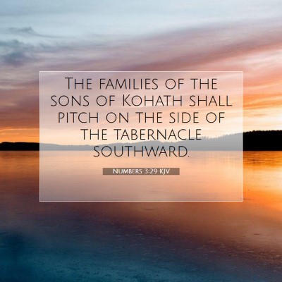Picture 07 - Numbers 3:29 KJV - The families of the sons of Kohath shall pitch on - Bible Verse Picture