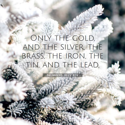 Picture 07 - Numbers 31:22 KJV - Only the gold, and the silver, the brass, the - Bible Verse Picture
