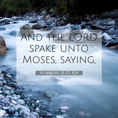 Picture 07 - Numbers 31:25 KJV - And the LORD spake unto Moses, - Bible Verse Picture