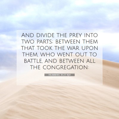 Picture 07 - Numbers 31:27 KJV - And divide the prey into two parts; between them - Bible Verse Picture