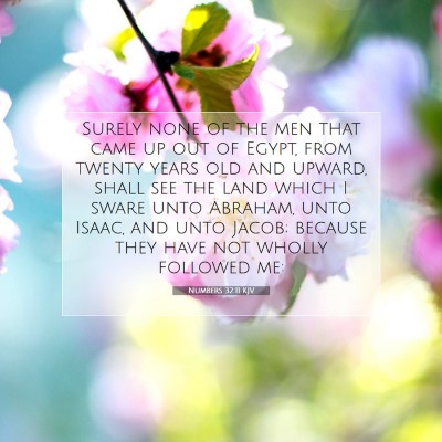 Picture 07 - Numbers 32:11 KJV - Surely none of the men that came up out of Egypt, - Bible Verse Picture