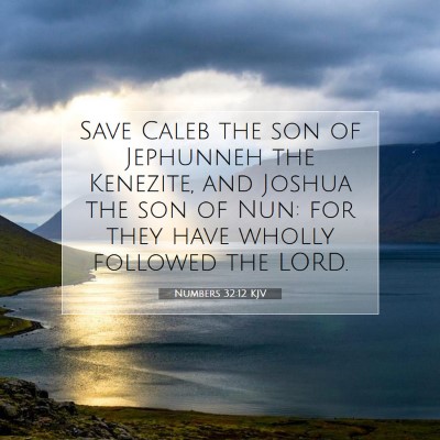 Picture 07 - Numbers 32:12 KJV - Save Caleb the son of Jephunneh the Kenezite, and - Bible Verse Picture