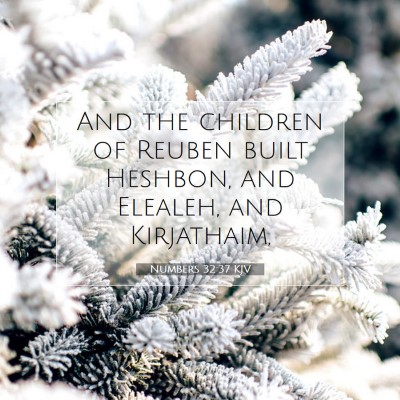 Picture 07 - Numbers 32:37 KJV - And the children of Reuben built Heshbon, and - Bible Verse Picture