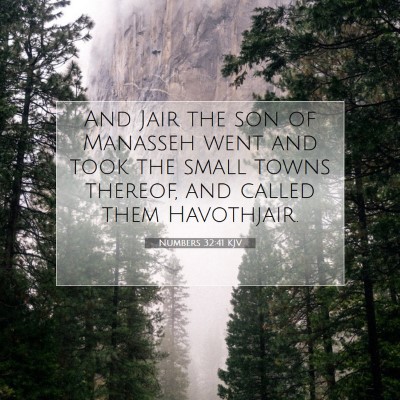 Picture 07 - Numbers 32:41 KJV - And Jair the son of Manasseh went and took the - Bible Verse Picture