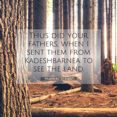Picture 07 - Numbers 32:8 KJV - Thus did your fathers, when I sent them from - Bible Verse Picture