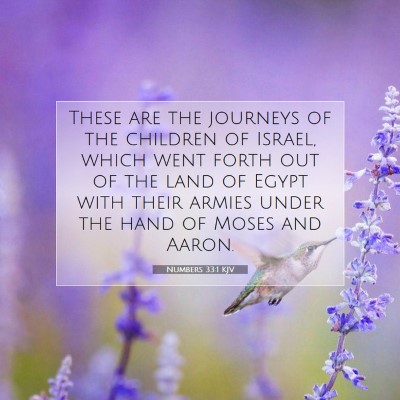 Picture 07 - Numbers 33:1 KJV - These are the journeys of the children of Israel, - Bible Verse Picture
