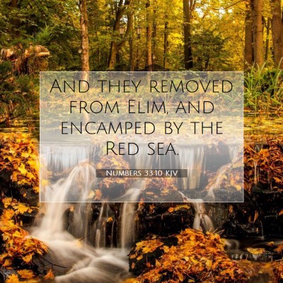 Picture 07 - Numbers 33:10 KJV - And they removed from Elim, and encamped by the - Bible Verse Picture