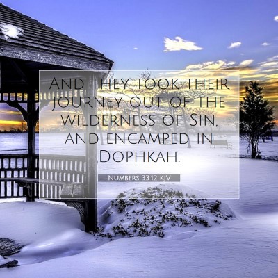 Picture 07 - Numbers 33:12 KJV - And they took their journey out of the wilderness - Bible Verse Picture