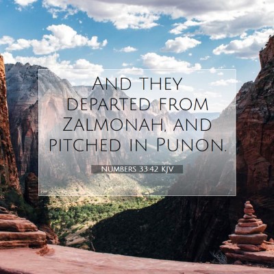 Picture 07 - Numbers 33:42 KJV - And they departed from Zalmonah, and pitched in - Bible Verse Picture