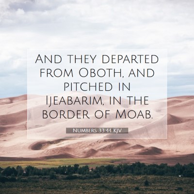 Picture 07 - Numbers 33:44 KJV - And they departed from Oboth, and pitched in - Bible Verse Picture