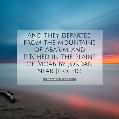 Picture 07 - Numbers 33:48 KJV - And they departed from the mountains of Abarim, - Bible Verse Picture