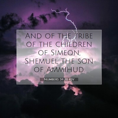 Picture 07 - Numbers 34:20 KJV - And of the tribe of the children of Simeon, - Bible Verse Picture