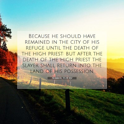 Picture 07 - Numbers 35:28 KJV - Because he should have remained in the city of - Bible Verse Picture