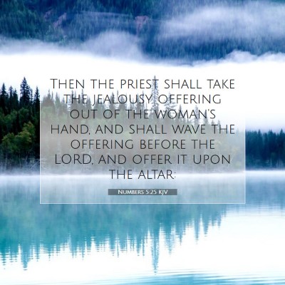 Picture 07 - Numbers 5:25 KJV - Then the priest shall take the jealousy offering - Bible Verse Picture