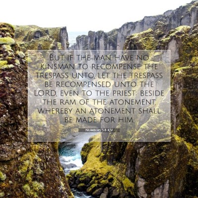 Picture 07 - Numbers 5:8 KJV - But if the man have no kinsman to recompense the - Bible Verse Picture