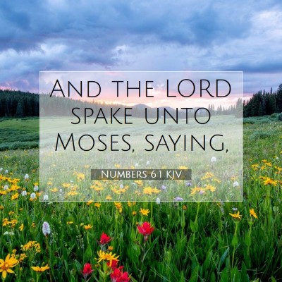 Picture 07 - Numbers 6:1 KJV - And the LORD spake unto Moses, - Bible Verse Picture