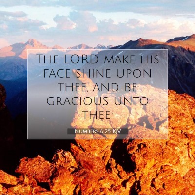 Picture 07 - Numbers 6:25 KJV - The LORD make his face shine upon thee, and be - Bible Verse Picture