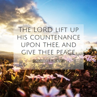 Picture 07 - Numbers 6:26 KJV - The LORD lift up his countenance upon thee, and - Bible Verse Picture