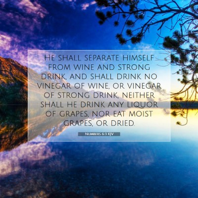 Picture 07 - Numbers 6:3 KJV - He shall separate himself from wine and strong - Bible Verse Picture