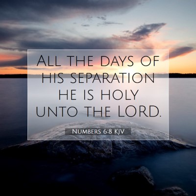 Picture 07 - Numbers 6:8 KJV - All the days of his separation he is holy unto - Bible Verse Picture