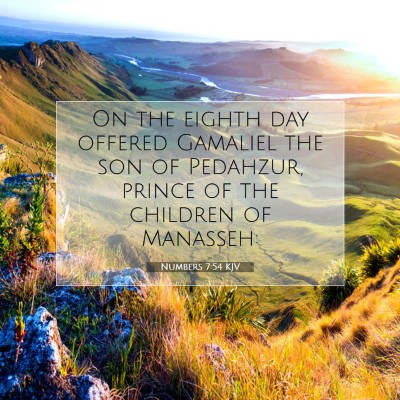 Picture 07 - Numbers 7:54 KJV - On the eighth day offered Gamaliel the son of - Bible Verse Picture