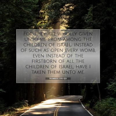 Picture 07 - Numbers 8:16 KJV - For they are wholly given unto me from among the - Bible Verse Picture