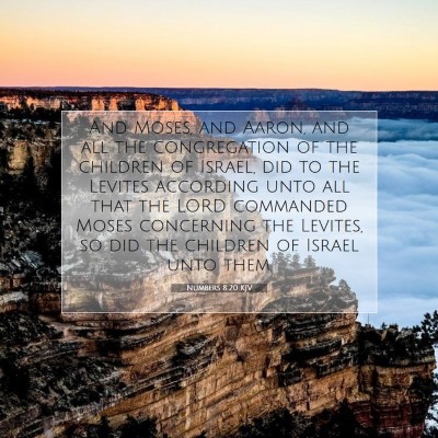 Picture 07 - Numbers 8:20 KJV - And Moses, and Aaron, and all the congregation of - Bible Verse Picture