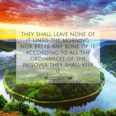 Picture 07 - Numbers 9:12 KJV - They shall leave none of it unto the morning, nor - Bible Verse Picture