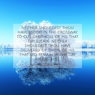 Picture 07 - Obadiah 1:14 KJV - Neither shouldest thou have stood in the - Bible Verse Picture