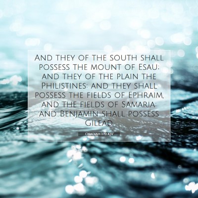 Picture 07 - Obadiah 1:19 KJV - And they of the south shall possess the mount of - Bible Verse Picture