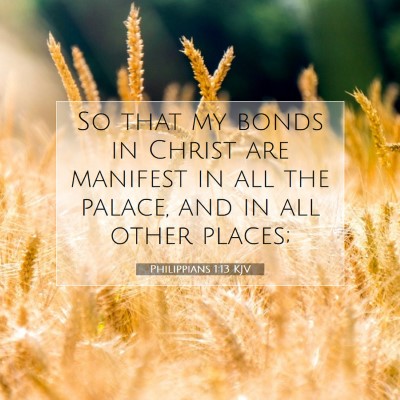 Picture 07 - Philippians 1:13 KJV - So that my bonds in Christ are manifest in all - Bible Verse Picture