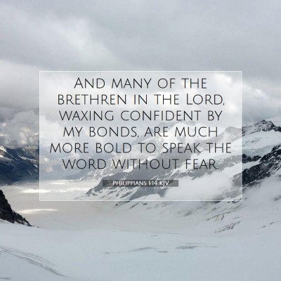 Picture 07 - Philippians 1:14 KJV - And many of the brethren in the Lord, waxing - Bible Verse Picture