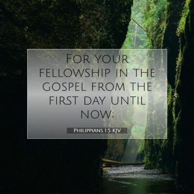 Picture 07 - Philippians 1:5 KJV - For your fellowship in the gospel from the first - Bible Verse Picture