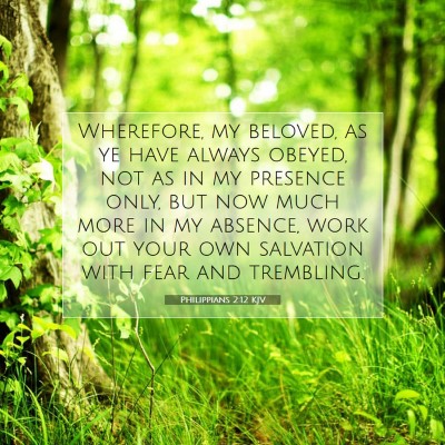 Picture 07 - Philippians 2:12 KJV - Wherefore, my beloved, as ye have always obeyed, - Bible Verse Picture