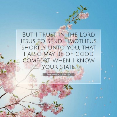 Picture 07 - Philippians 2:19 KJV - But I trust in the Lord Jesus to send Timotheus - Bible Verse Picture