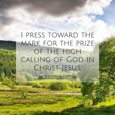 Picture 07 - Philippians 3:14 KJV - I press toward the mark for the prize of the high - Bible Verse Picture