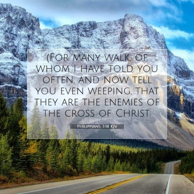 Picture 07 - Philippians 3:18 KJV - (For many walk, of whom I have told you often, - Bible Verse Picture