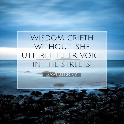 Picture 07 - Proverbs 1:20 KJV - Wisdom crieth without; she uttereth her voice in - Bible Verse Picture