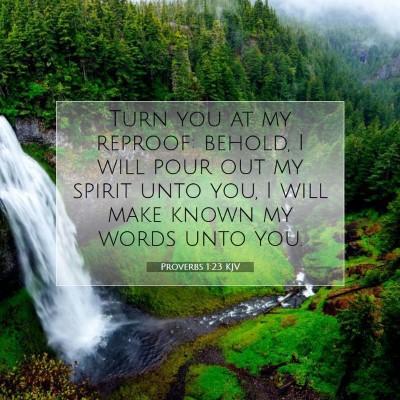 Picture 07 - Proverbs 1:23 KJV - Turn you at my reproof: behold, I will pour out - Bible Verse Picture